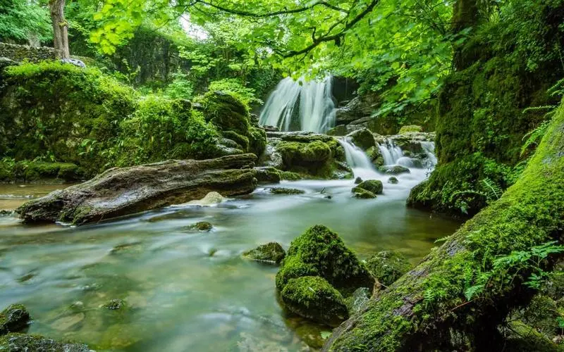 高质量科技