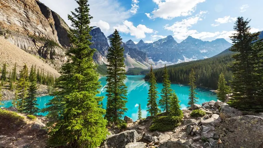 智能化环保